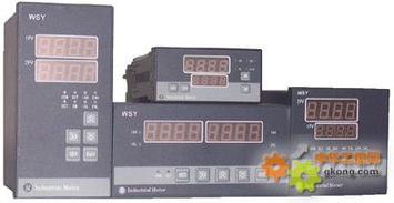 wsy智能双路数字显示控制仪
